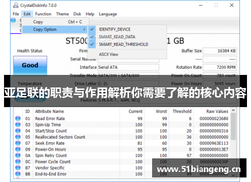 亚足联的职责与作用解析你需要了解的核心内容