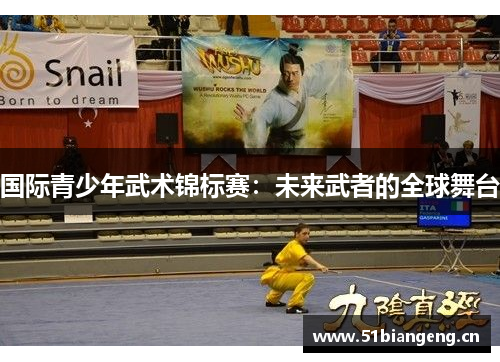 国际青少年武术锦标赛：未来武者的全球舞台