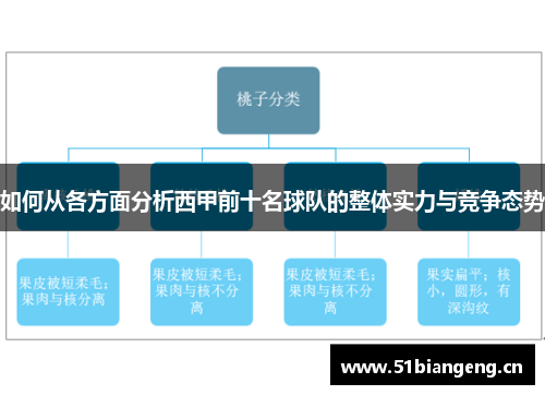 如何从各方面分析西甲前十名球队的整体实力与竞争态势