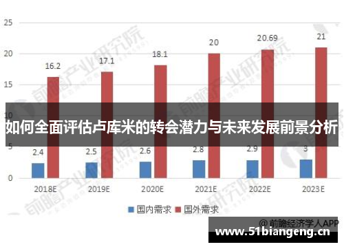 如何全面评估卢库米的转会潜力与未来发展前景分析